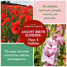 Birth Flower For Each Month Meanings August Birth Flowers August Birth Flower Birth Flowers Birth Month Flowers