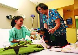 The Long and Short of it All: A Dachshund Dog News Magazine: June 2011