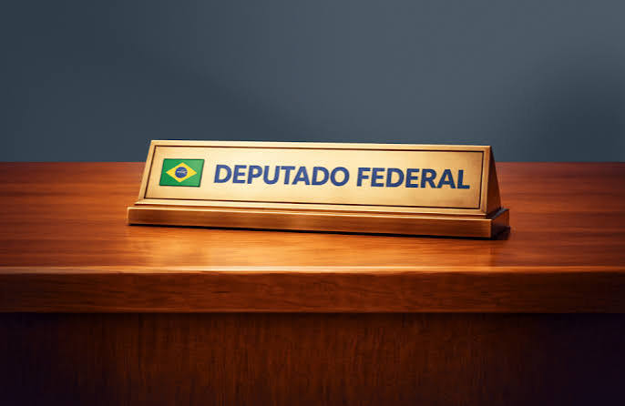 O Que Faz um Deputado Federal?