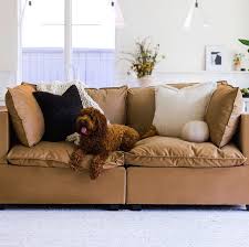14 Best Pet Friendly Couches Of 2024