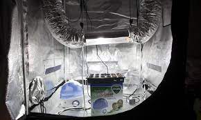 Stulz precision cooling & humidity control solutions for grow rooms. Grow Tent Setup The Complete Guide Epic Gardening