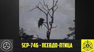 Feel free to add to it, but be aware that it is regularly pruned. Scp 746 Psevdo Ptica Staraya Ozvuchka Youtube