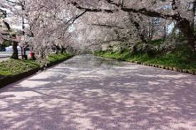 Kegiatan menikmati indahnya pemandangan bunga sakura dikenal dengan nama sekalipun negara jepun maju dan moden, tetapi anda pasti tidak sangka bahawa terdapat banyak tempat menarik di jepun merupakan senibina antik. Perkhidmatan Yang Disyorkan Di Mana Anda Dapat Melihat Bunga Sakura Di Hirosaki Park Tempat Bunga Sakura Yang Paling Terkenal Di Jepun Aomori Melancong