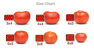 freshpoint produce 101 tomatoes