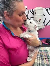 Ronnie and Ralph had a day at the groomers…. ❣️❣️