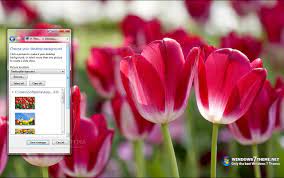 Download Tulips Windows 7 Theme 1 00 Windows whistler blue watercolor theme on windows xp. download tulips windows 7 theme 1 00