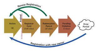 Buying An Expiring Domain Name Scott Phillips