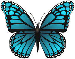 Large Blue Butterfly Png Clip Art Image Gallery Yopriceville High Quality Images And Transparent Png Free Clipa Art Images Blue Butterfly Butterfly Images
