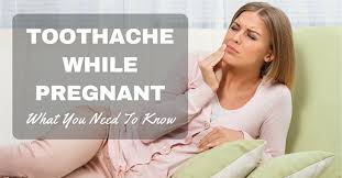 Check spelling or type a new query. Toothache While Pregnant What You Need To Know Giant Mommy