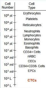 Our bodies are made up of more than a hundred million million (100,000,000,000,000) cells. Circulating Tumor Cell Wikipedia