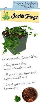 Pin On Plant Beauty