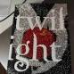Bedazzle Your Book event image