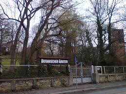 The following 8 files are in this category, out of 8 total. Botanischer Garten Gera Wikipedia