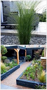 Garten Chinaschilf Gracilimus Miscanthus Sinensis Gracillimus Gunstig Online Kaufen 2020 Garten