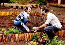 Fall is for herbs herbs are plants that are used as flavoring in foods. Ecoscraps Benefits Of Planting A Fall Garden
