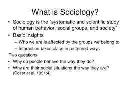 Definition My Friends Sociology What Is Sociology Human Behavior