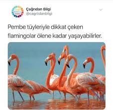 Pin On Funny