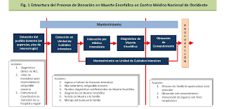 Maria teresa clones y su diagnostico. Https Trasplantes Jalisco Gob Mx Sites Trasplantes Jalisco Gob Mx Files 6 D Celulas2001 2 Bueno 2011 Pdf