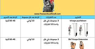 pin on تمارين الترايسبس بالصور