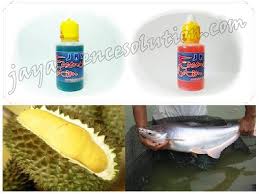 Racikan Umpan Ikan Patin Dengan Essen Duren Terbaik Dan Terbukti Ampuh Untuk Digunakan Pada Perlombaan Mancing Ikan Patin Di Kolam Kilo Ge Essen Ikan Memancing