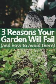 How to start a vegetable garden for beginners. 3 Reasons Your Vegetable Garden Will Fail How To Avoid Them