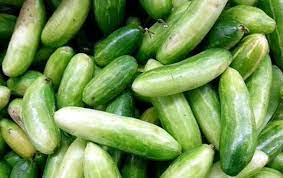 What is english word of dondakaya? How To Grow Ivy Gourd Growing Coccinia Grandis Tindora Kundru