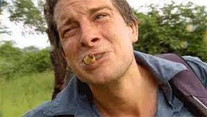 Bear Grylls: Eat this maggot, Yao Ming, you need energy to make yourself  stronger! Yao Ming: ＼(º □ º l|l)/... Netizen: With Yao Ming's body size,  one maggot is obviously not enough