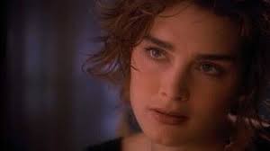 Tales from the Crypt: Season 5 (1993) — The Movie Database (TMDB)