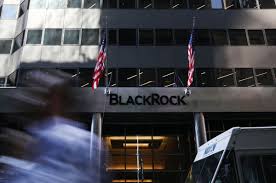 Blackrocks Larry Fink Starts Biggest Organizational