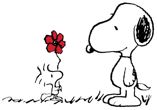 Peanuts - Animal Adventure