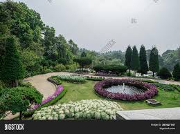 Check spelling or type a new query. Variety Flowers Image Photo Free Trial Bigstock