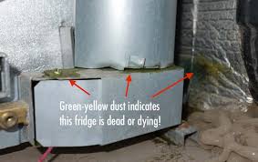 Maybe you would like to learn more about one of these? Rv Refrigerator Replacement How An Rv Warranty Saved Our Bacon Roads Less Traveled