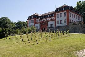 Der pachtvertrag mit der wohnbau mainz, der das gebäude gehört, laufe zu diesem datum aus. Weinbau In Mainz Wikiwand