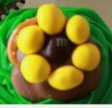 In the Garden Cupcakes
