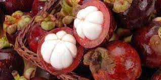 Manfaat Dan Khasiat Kulit Manggis Buah Kesehatan Jamur