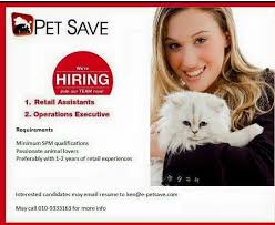 Accounts assistant, teacher, kindergarten teacher and more on indeed.com. Pet Save Sdn Bhd We Welcome Candidates Who Are Passionate With Animals Responsible And Able To Work In A Team Those With Spm Qualifications Or 1 2 Years In Retail Experiences Are