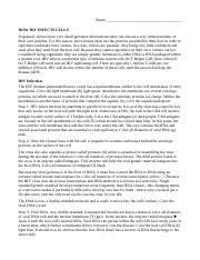 Symptoms such as fever, weakness, and weight loss may be a sign that a person's. J Short Splice Viral Rna Yellow K Golgi Apparatus Purple M Viral Proteins Brown Course Hero