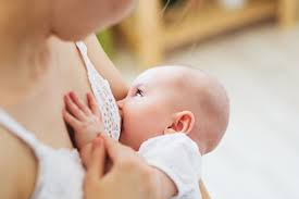 Was ist der milcheinschuss und ab wann setzt er ein? Milcheinschuss Wann Beginnt Die Milchproduktion 9monate De