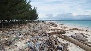 The aim of the mission was to see if the plastic afloat in ocean garbage patches can pollute the deep sea below. This Man Is On A Mission To Save The Marine Ecosystem In Malaysia Buro 24 7 Malaysia