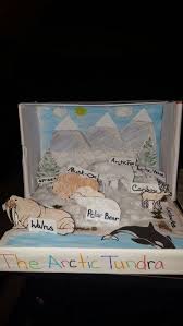 Tundra Biome In A Box Project Arctic Tundra Ecosystem Ecosystems Projects Biomes Project Diorama Kids