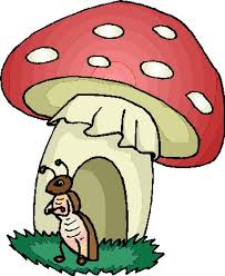 images?q=tbn:ANd9GcRApej0adT4tOKr0gwhbE9Xj7VWxIvQD-ECZG1kNoM8S_idmTHe