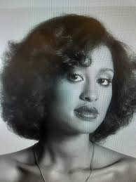 To the film studio that decides to produce a Phyllis Hyman biopic. Just  know that you will be boycotted should you select anyone other than Jazmine  Sullivan to play the late great