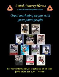 Horse Sale llc. Horse Sale llc.