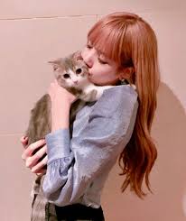Kedi Ve Lisa En Sevdigim 2 Sey Koreli Kiz Kizlar Kedi