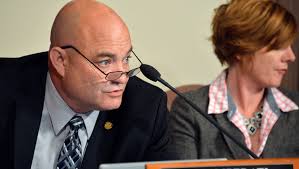 Who's running in the state Senate in Wayne County primaries