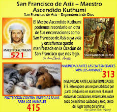 Biografía De San Francisco De Asís Resumen Angel Dorado Ascension Juntos A La Madre Tierra Gaia Codigos Sagrados Numericos Resumen Descri Codigos Sagrados Codigos Sagrados Agesta Codigos De Sanacion