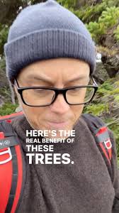 The whales off Bonavista Bay take laid back to a whole other level. Still  reeling after one of my best days