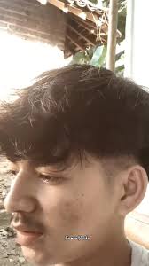 Lang Leve De Liefde Reza