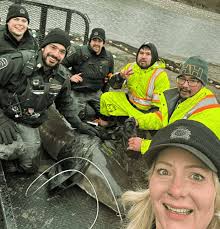 Sq'éwqel Sqwélqwel Pípé