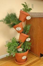 Under The Table And Dreaming 35 Herb Container Gardens Pots Planters Saturday Inspiration Ideas Herb Containers Indoor Herb Garden Herbs Indoors